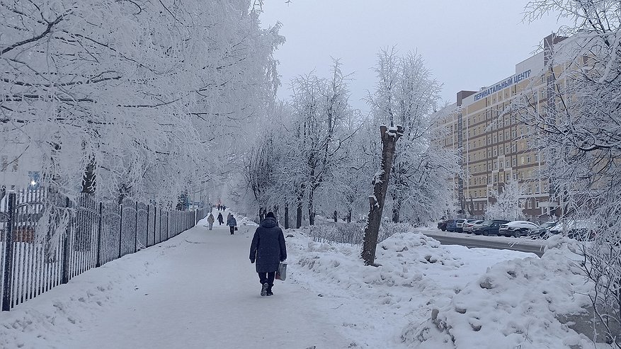 Главная картинка новости: Возвращение к зиме 1 июня? Гидрометцентр обновил прогноз — нас ждут снова морозы и снег