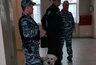 Миниатюра новости: Бездомная собака напала на ребенка в Пыщугском районе: прокуратура инициировала проверку
