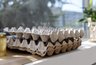 Миниатюра новости: Никогда не выбрасывайте ненужные лотки из-под яиц: они станут незаменимыми помощниками в огороде