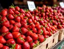 Не ведитесь: вот почему нельзя покупать раннюю клубнику в конце мая и начале июня - рассказывает врач-нутрициолог