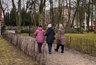 Миниатюра новости: Пенсионеров ждет массовая индексация: объясняем на пальцах, как будут расти пенсии летом