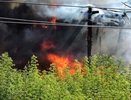 Шесть строений в огне: в Костромской области тушат крупный пожар