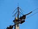 В Костромской области на опорах ЛЭП установят защиту от птиц