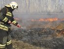 В Костромской области ввели особый противопожарный режим