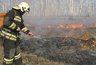 Миниатюра новости: В Костромской области ввели особый противопожарный режим