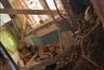 Миниатюра новости: В Костроме отключили от газа многоквартирный дом из-за обрушения потолка в одной из квартир