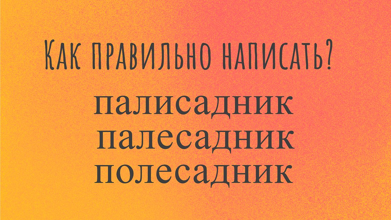 Главная картинка новости: Слово простейшее, а позорятся с ним 97% людей — только самые умные смогут выбрать верный вариант