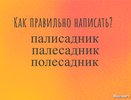 Слово простейшее, а позорятся с ним 97% людей — только самые умные смогут выбрать верный вариант