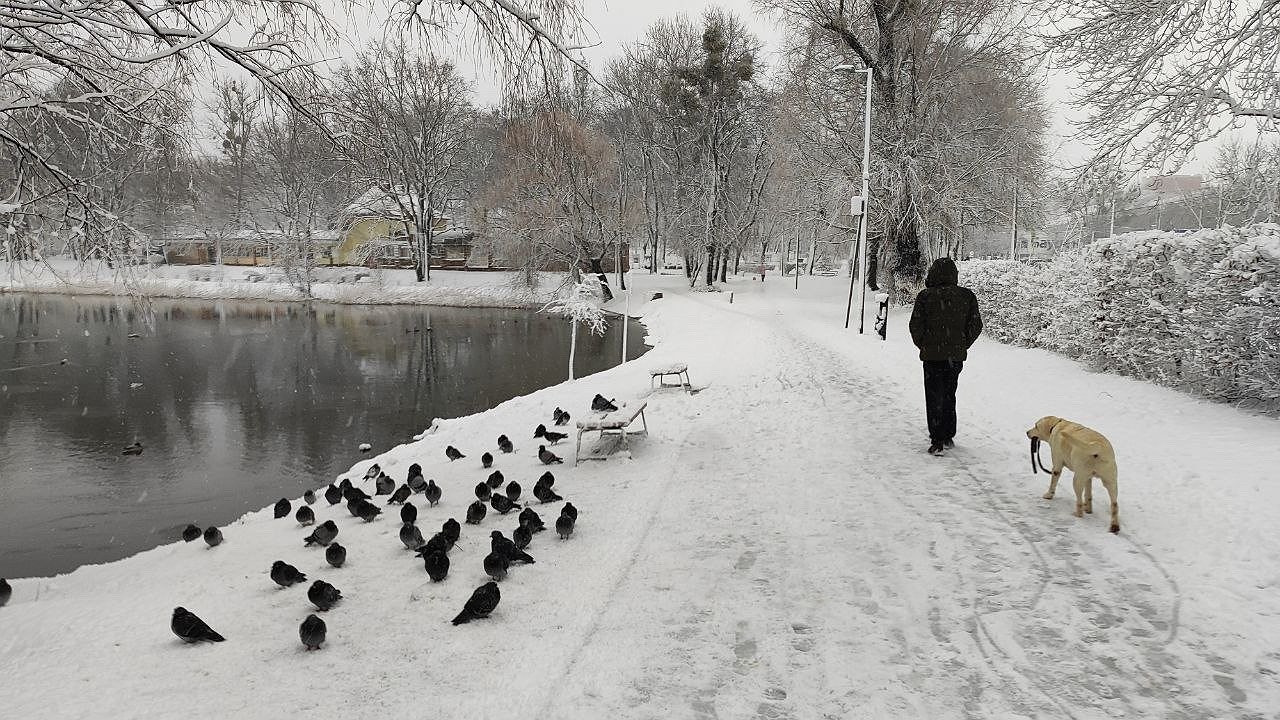 Главная картинка новости: Лето и жара под вопросом? Неожиданные сюрпризы погоды в ближайшие месяцы