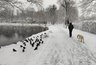 Миниатюра новости: Лето и жара под вопросом? Неожиданные сюрпризы погоды в ближайшие месяцы