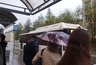 Миниатюра новости: Неделя перемен: костромичан ждут дожди и потепление
