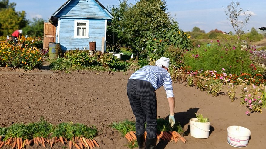 Главная картинка новости: «Теперь точно проверят каждого». Пенсионеров, которым от 60 до 85 лет, ждет неожиданный сюрприз в июне