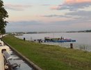 От плюс 19 до плюс 24 градусов: какая погода ждет костромичей в первую неделю июня