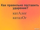 Ошибаются 97% людей: поставьте ударение и проверьте себя - как правильно звучит слово «каталог»