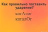 Миниатюра новости: Ошибаются 97% людей: поставьте ударение и проверьте себя - как правильно звучит слово «каталог»