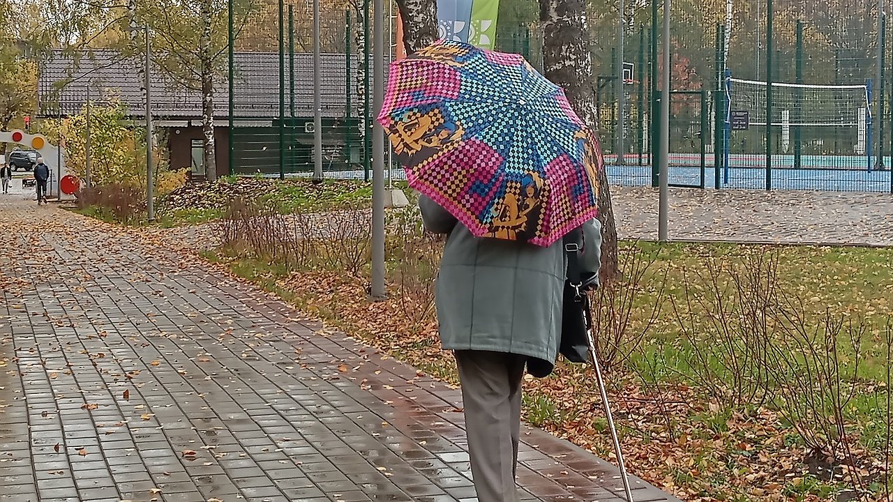 Главная картинка новости: «В июле начнется кошмар». Синоптики представили новый прогноз погоды на лето