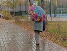 «В июле начнется кошмар». Синоптики представили новый прогноз погоды на лето