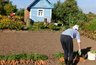 Миниатюра новости: 80 лет — не приговор, а щедрый подарок: вот какие льготы и прибавки ждут юбиляров в июне
