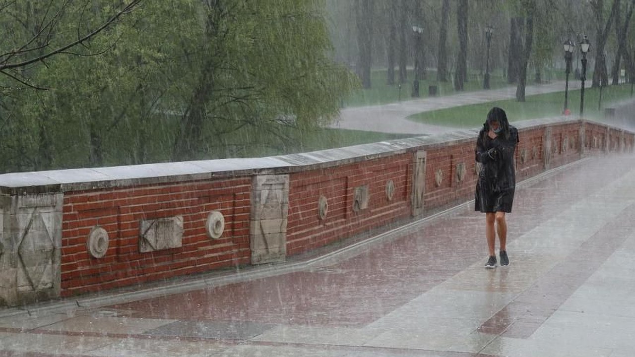 Главная картинка новости: Синоптики дали неутешительный прогноз на лето-2025. Июль и август будут просто ужасными