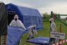 Миниатюра новости: В Костромской области ликвидировали условный очаг сибирской язвы
