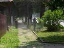 В Костроме подрядчики ускорятся с покосом травы
