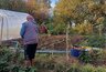 Миниатюра новости: 2 ложки на землю после 9 июня - урожай рекордсмен, а почва нежная, как кожа младенца
