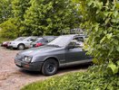 Штраф 2000 рублей за автомобиль именно такого цвета: в ГИБДД начались массовые проверки всех водителей