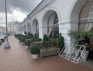 В Костроме в рамках ежегодного конкурса выберут красиво оформленные территории (0+)