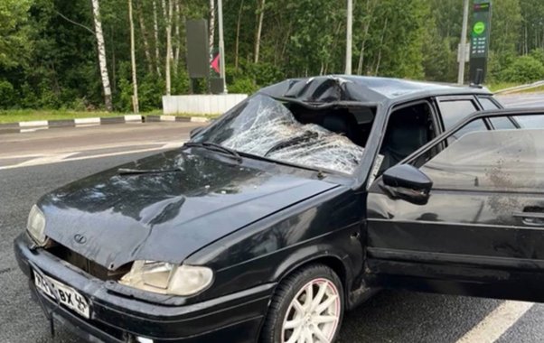 За два дня в Костромской области зафиксировано три ДТП с лосями