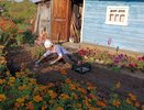 С 15 июня полностью будет запрещена установка заборов на даче: придется убрать