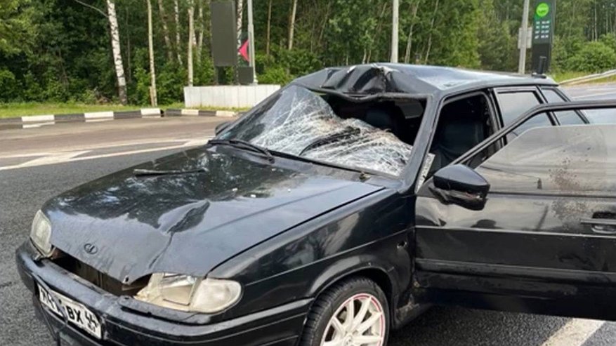 Главная картинка новости: За два дня в Костромской области зафиксировано три ДТП с лосями