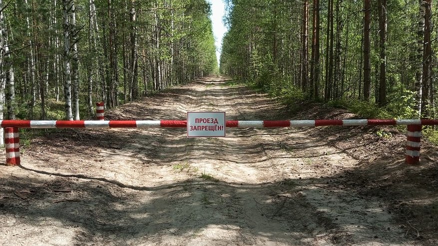 Главная картинка новости: В Костромской области произошел второй лесной пожар в сезоне