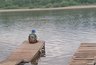 Миниатюра новости: В Костроме прогремят первые грозы