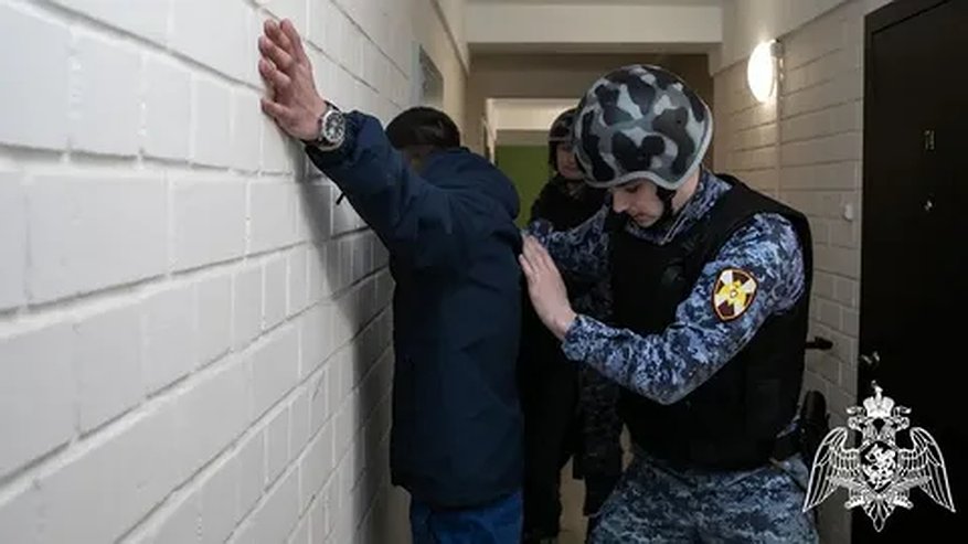 Главная картинка новости: В Костромской области у мужчины нашли целый арсенал незаконных патронов и пороха