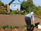 Какие бывают субсидии одиноко проживающим пенсионерам в 2025 году?