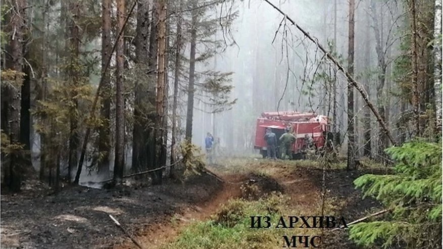Главная картинка новости: В Костромской области огнеборцы тушили лесной пожар почти семь часов