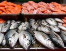 Ученые назвали опасную для здоровья рыба, которую лучше не есть - содержат мусорные токсины и тяжелые металлы