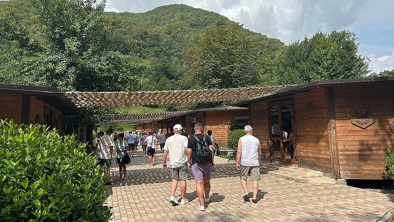 Главная картинка новости: Отдых в Абхазии с детьми в 2025 году: насколько безопасно, куда лететь и сколько это стоит