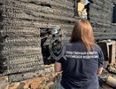 В деревне Лебеди на месте пожара обнаружили тело женщины