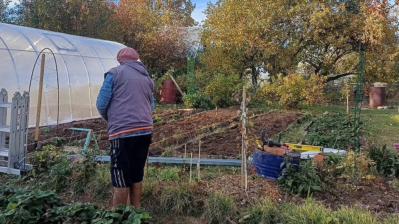 Главная картинка новости: Штраф за нескошенную траву на участке 2025