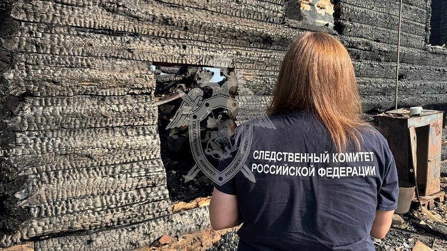 Главная картинка новости: В деревне Лебеди на месте пожара обнаружили тело женщины