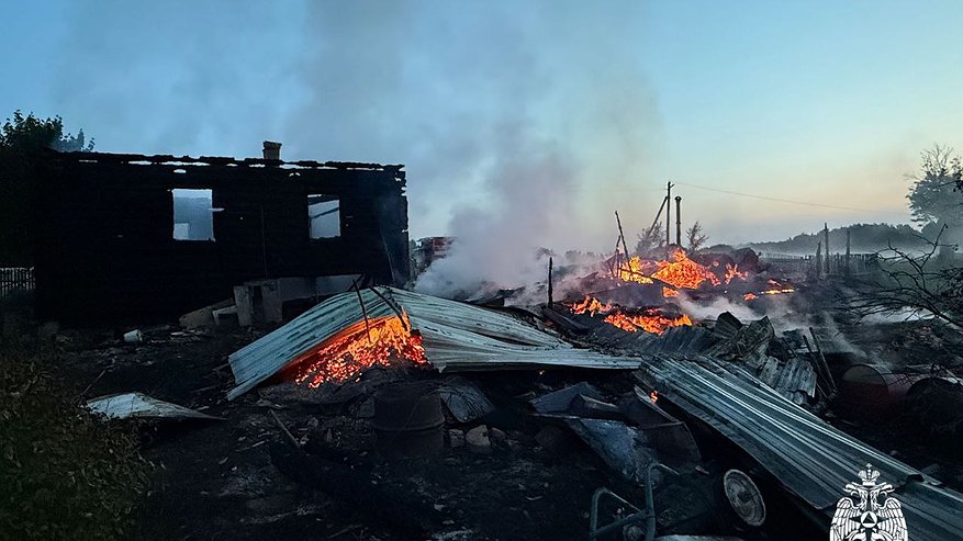 Главная картинка новости: В МЧС раскрыли подробности смертельного пожара в Лебедях