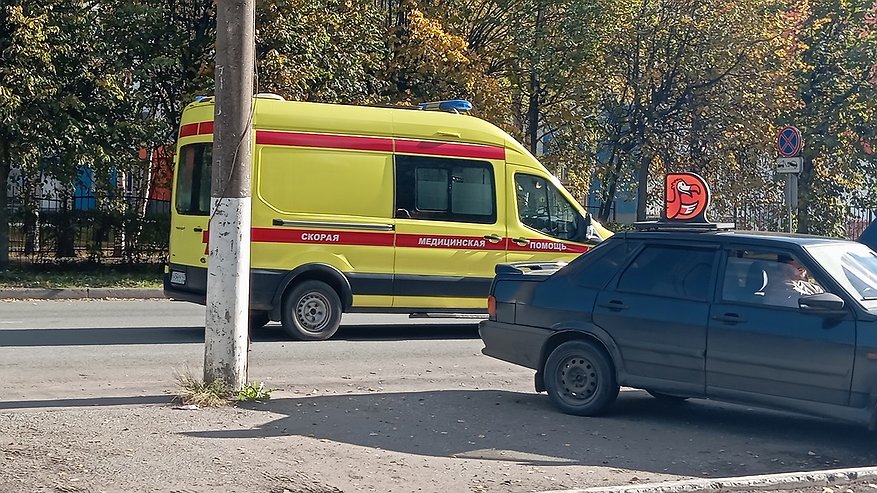 Главная картинка новости: В Костромской области зафиксировали уже 12 случаев боррелиоза