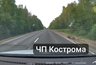 Миниатюра новости: Водитель сбил лося под Костромой и скрылся с места ДТП