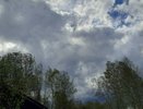 Костромскую область накроют грозы и ураганный ветер: объявлено предупреждение