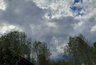 Миниатюра новости: Костромскую область накроют грозы и ураганный ветер: объявлено предупреждение