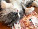 Стало известно, какая в Костромской области среднемесячная зарплата