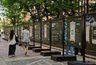 Миниатюра новости: Костромская область "ожила" в Москве: студентка КГУ представила регион в дополненной реальности