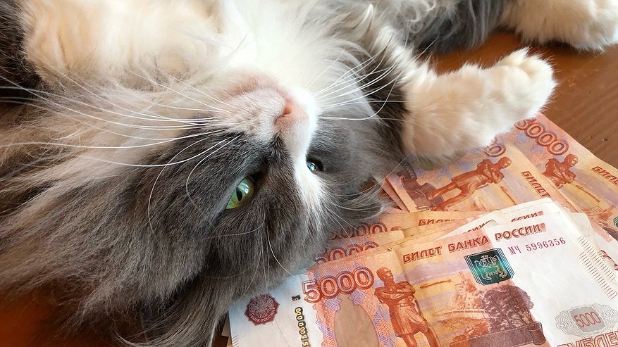 Главная картинка новости: Стало известно, какая в Костромской области среднемесячная зарплата