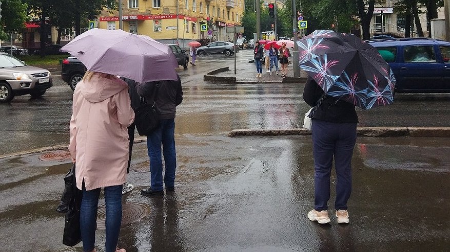 Главная картинка новости: Костромичей предупреждают о похолодании до плюс 14 градусов